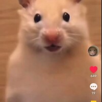 前立🔰初心者様にはこう言う