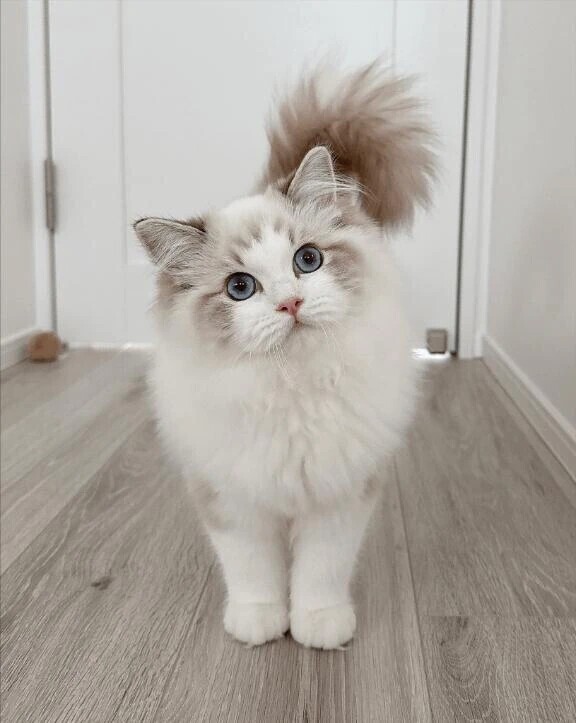 🌿年内は元気に過ごせますように🌿