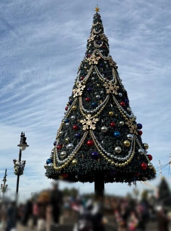 12月に入りましたね✨🌲