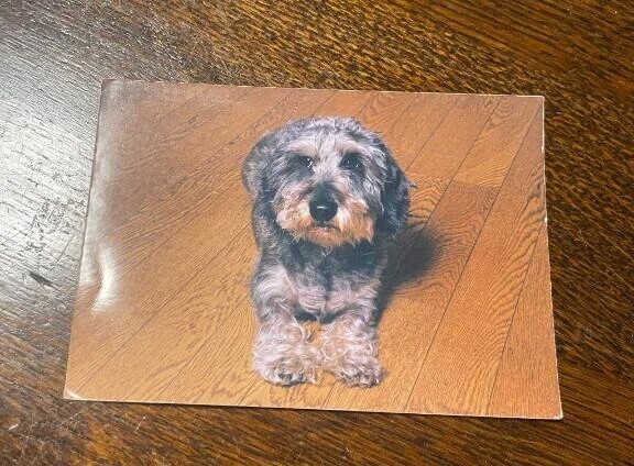 眠ってる間も愛してる♡