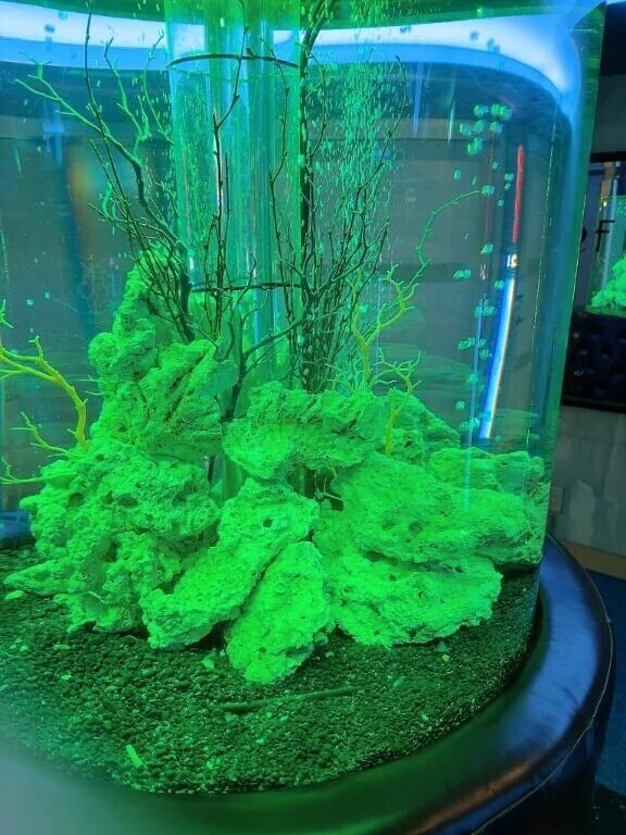 そういえば、撮ったことなかった🧐