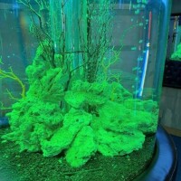 そういえば、撮ったことなかった🧐