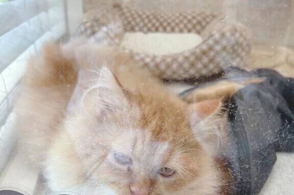 キャンセル出たよ🙆‍♀️