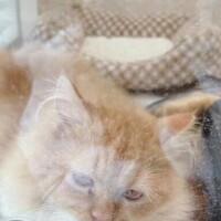 キャンセル出たよ🙆‍♀️