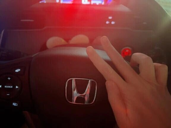 ありがたき幸せ(ﾉ_ _)ﾉ