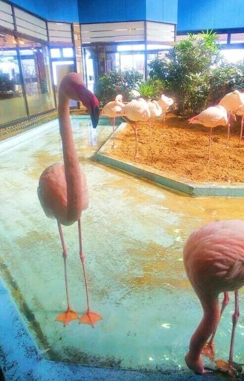 癒されました♡