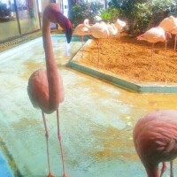 癒されました♡