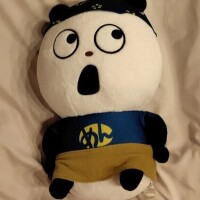 一定のサイクル🔄