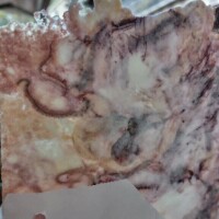 あの有名フレーズを体現した日。