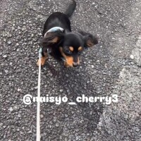 雨降るよ！！！