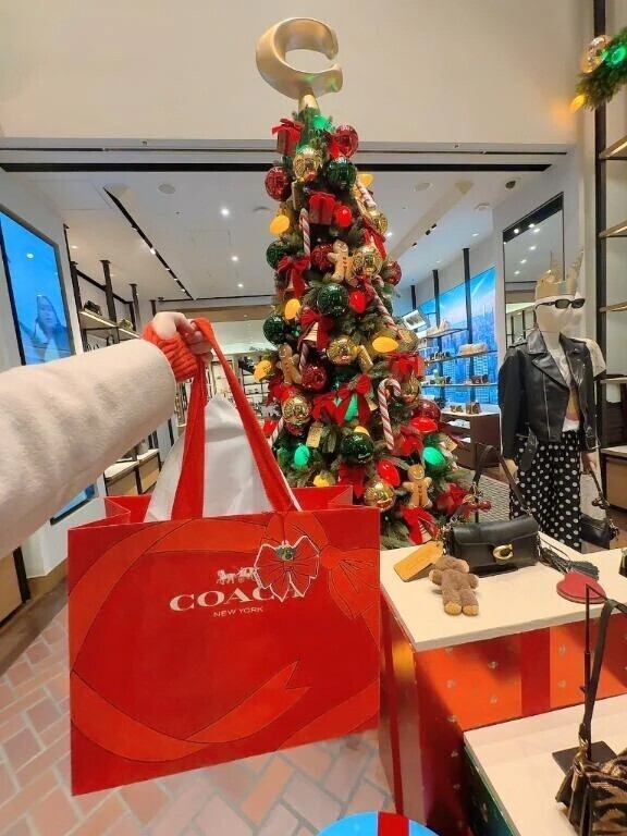 撮ろう撮ろうと思っていた(´・ω・｀)