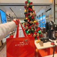 撮ろう撮ろうと思っていた(´・ω・｀)