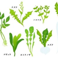 年末年始小ネタ⑨