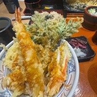 てんどぉん🍤