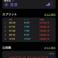 頑張ります！ぼちぼち