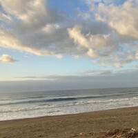 癒しの存在になれたら🥰