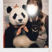 あれれ🐼🩷