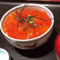 推しは北海道産なのだ。