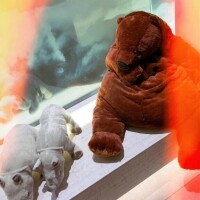 ありがとう日記❤︎