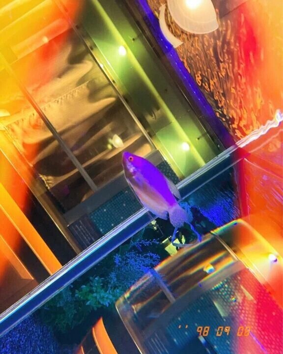 ありがとう日記❤︎