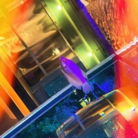 ありがとう日記❤︎