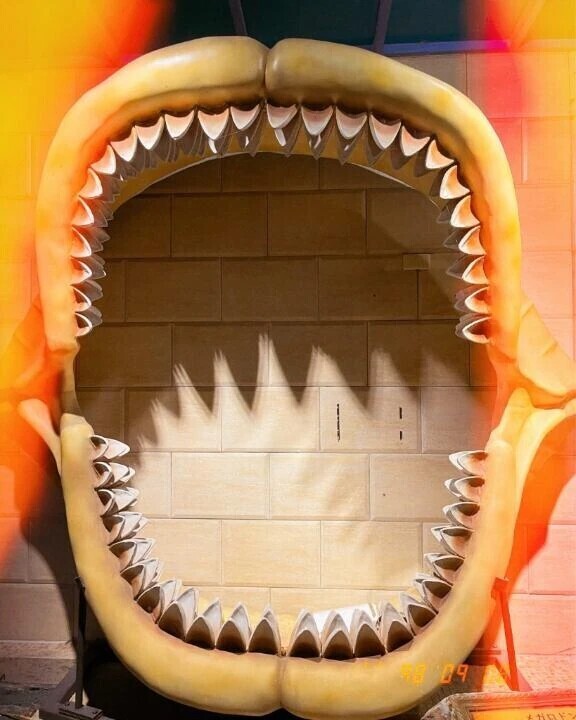 がお〜っ⭐︎！