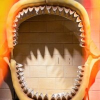 がお〜っ⭐︎！