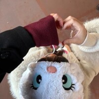 🩷17:30頃〜🈳🩷