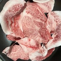 挿入パトロール写真を本文に