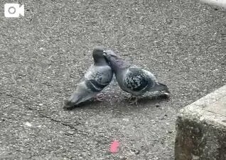 ここで全て舐め尽くして