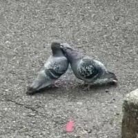 ここで全て舐め尽くして