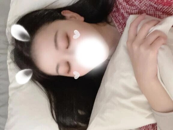 桜と猫と空気清浄機