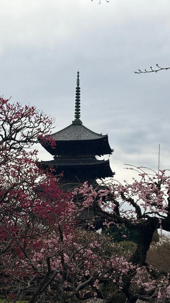 京都旅行🚅💕