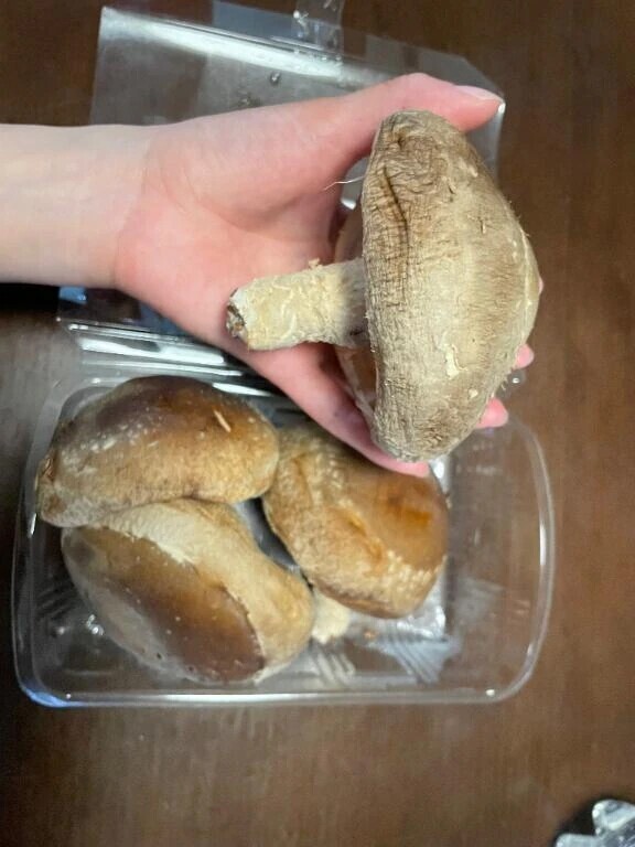 ファインプレーすぎる