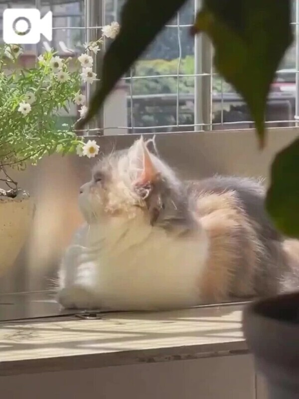 18時まで受付中です🤍