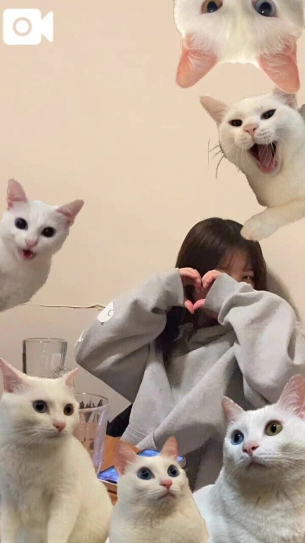時間変更ごめんなさい！14:00〜！