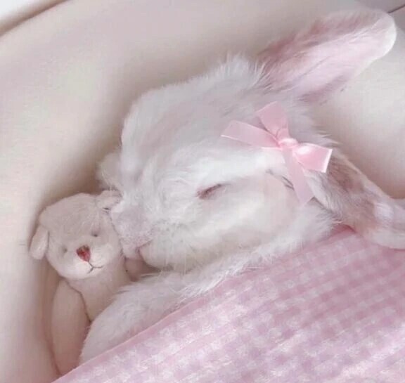 しょぼん