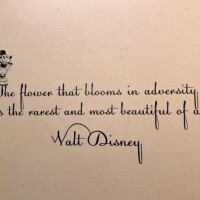 本当によくできてる