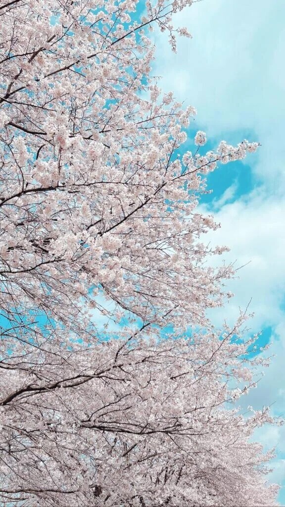 出勤しました♡
