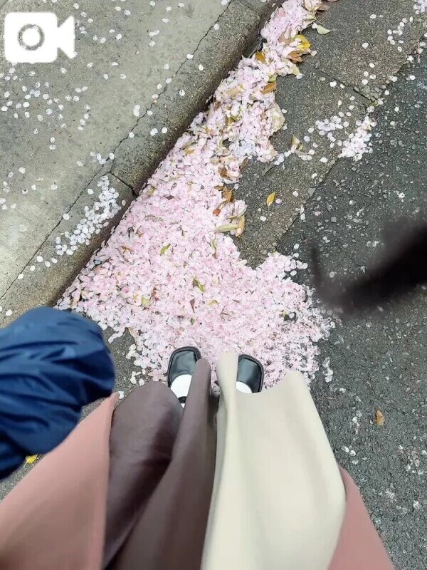 劇的ビフォーアフター💃
