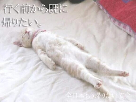 ご趣味はなんですか？