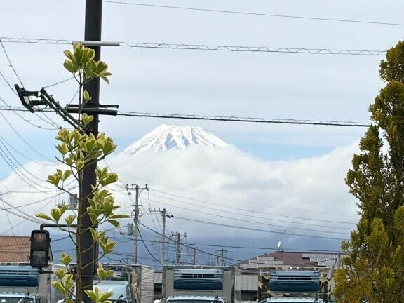 久しぶりの帰省🥰❣