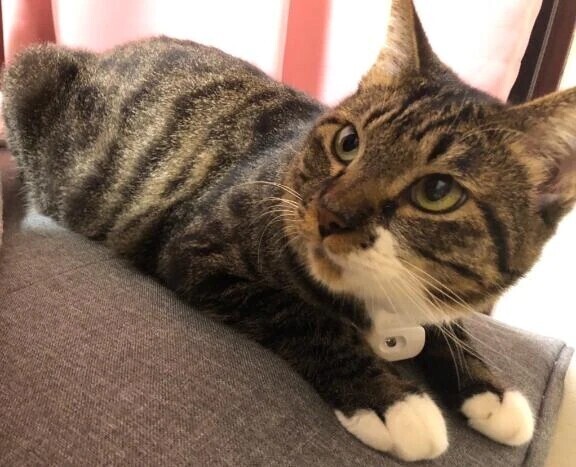 5月は実は