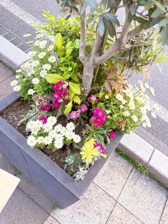 must…❤︎