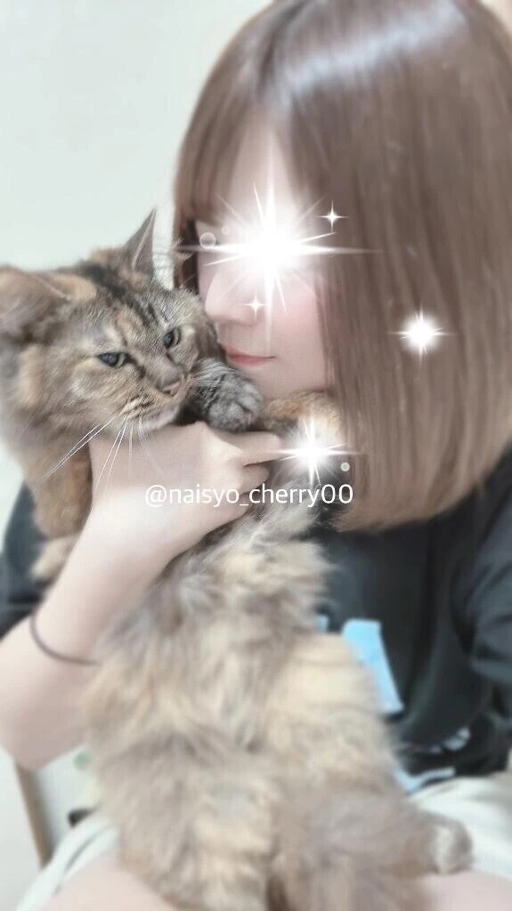 ✅明日夕方~朝方🍒