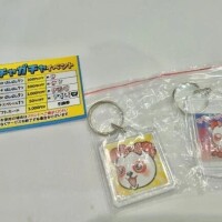 集めるだけのシゴトです😎