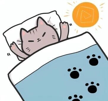 おはようございます☀️