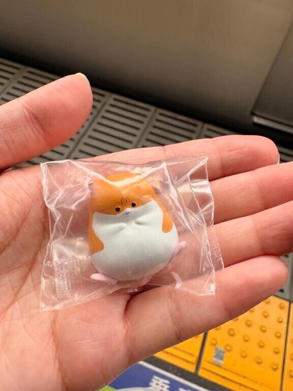 不安定すぎる( ; ; )