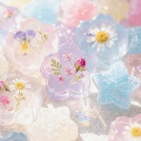 よく聞かれる質問🪄✩