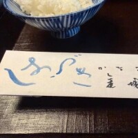 今日いるよ〜